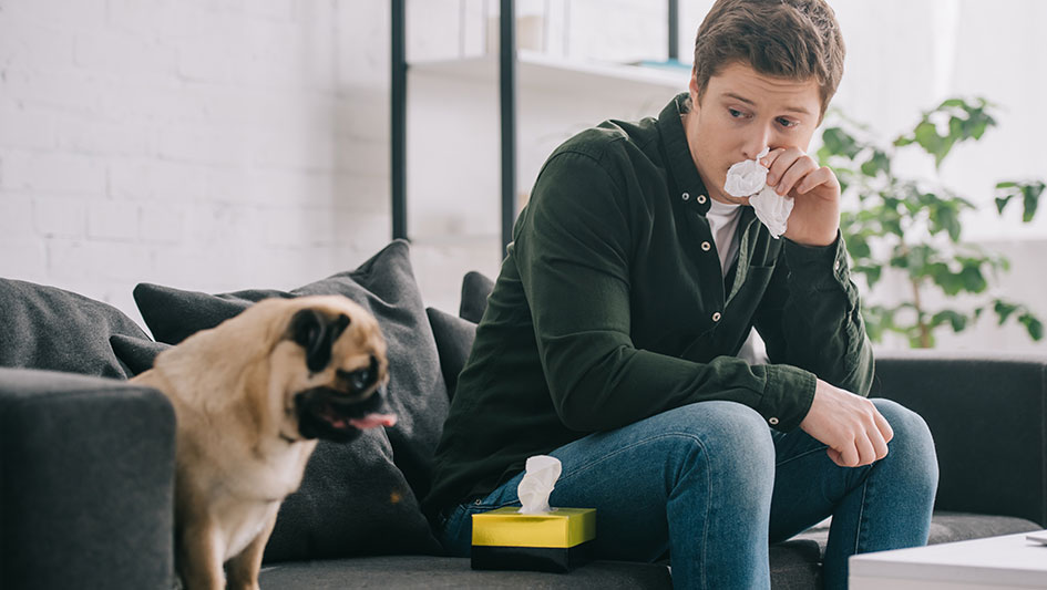 Purchasing an air purifier is one of the smartest approaches to enhance your residence’s indoor air quality. Learn more about the three best options. 